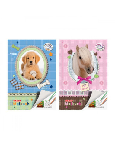 Книжка за оцветяване А4, 28 стр, Pretty Pets, асорти - herlitz