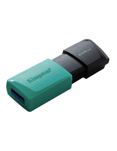 USB памет KINGSTON DataTraveler Exodia M, 256GB