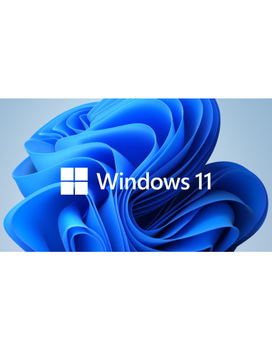 Windows 11 Professional 64Bit English Intl 1pk DSP OEI DVD