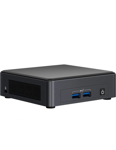 Intel NUC 11 Pro Kit NUC11TNKi3: Intel Core i3-1115G4, Intel UHD Graphics, Dual HDMI 2.0b w/HDMI CEC, Dual DP 1.4a via Type C