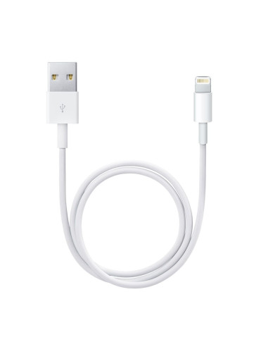 Apple Lightning to USB cable (0.5m)