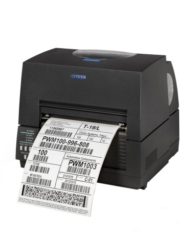 Citizen CL-S6621 Printer, Grey, UK+EN Plug