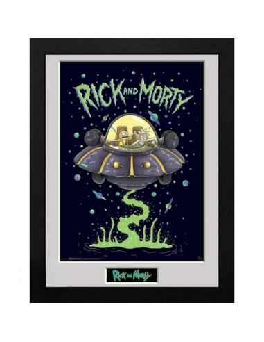 GBEYE RICK AND MORTY - Framed print "Ship" (30x40)