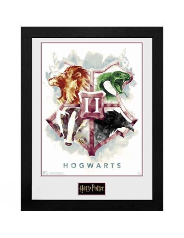 GBEYE HARRY POTTER - Framed print "Hogwarts Water Colour" (30x40)