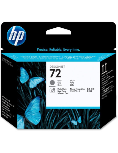 HP 72 Gray and Photo Black Printhead