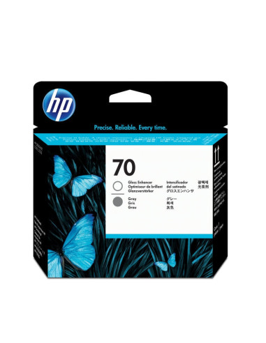 HP 70 Gloss Enhancer and Gray Printhead