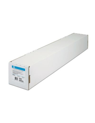 HP Everyday Pigment Ink Satin Photo Paper-1524 mm x 61 m (60 in x 200 ft)