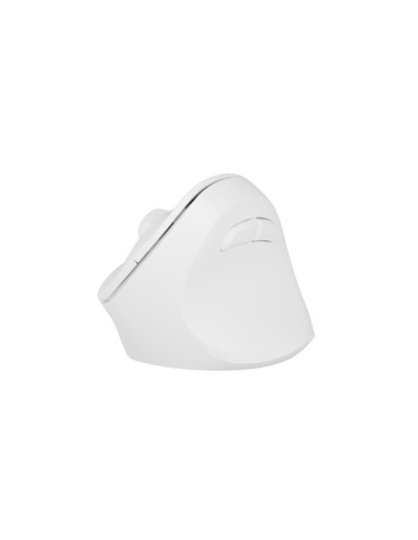 Natec Vertical Mouse Crake 2 Wireless, 2400DPI Bluetooth 5.2 + 2.4 GHz White