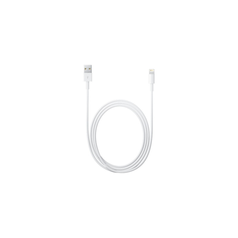 Apple Lightning to USB Cable (2 m)