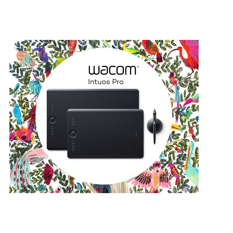 Wacom Intuos Pro L